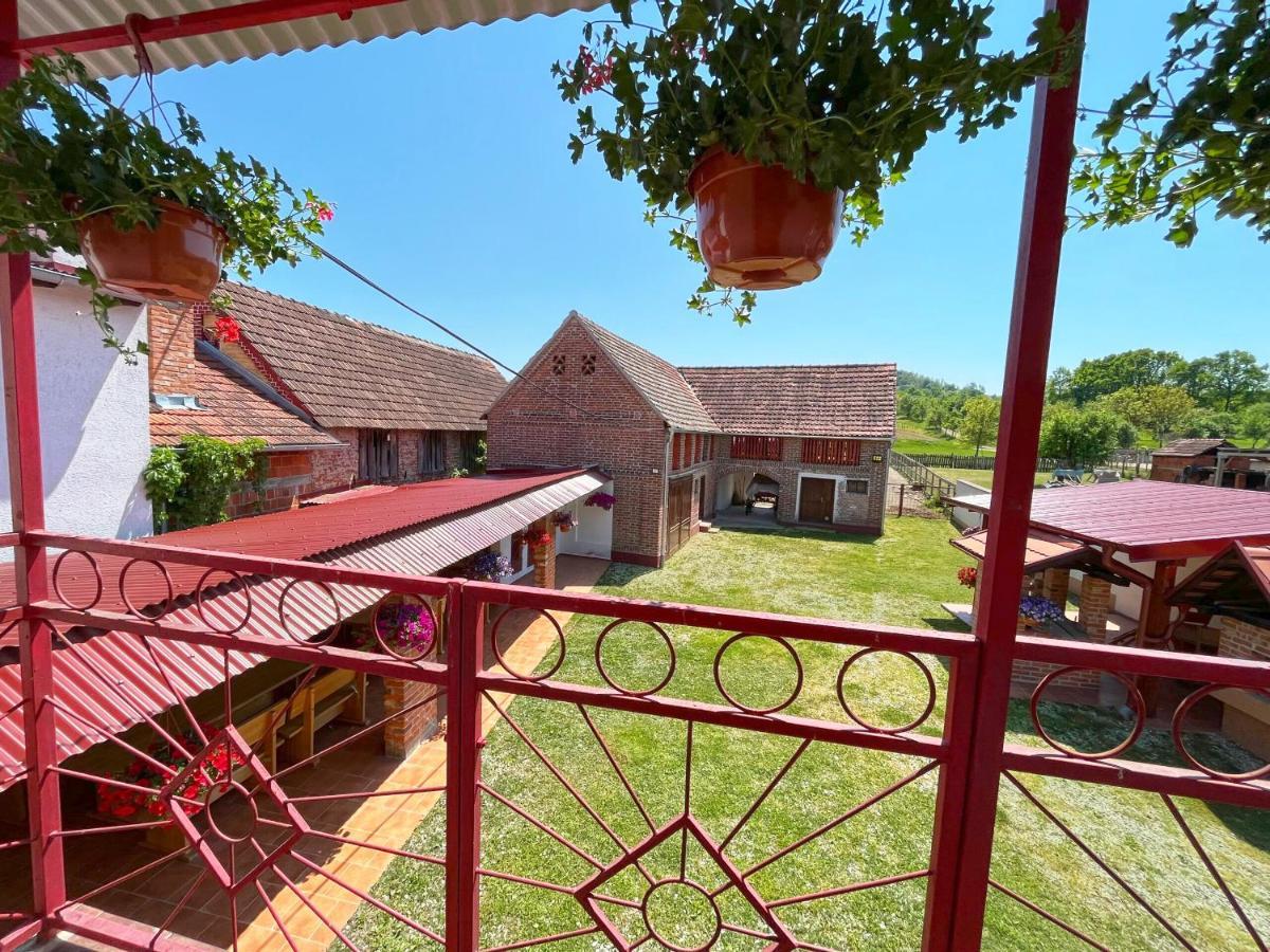 Salas 318 - B&B Farm Experience Brodski Drenovac Exterior photo