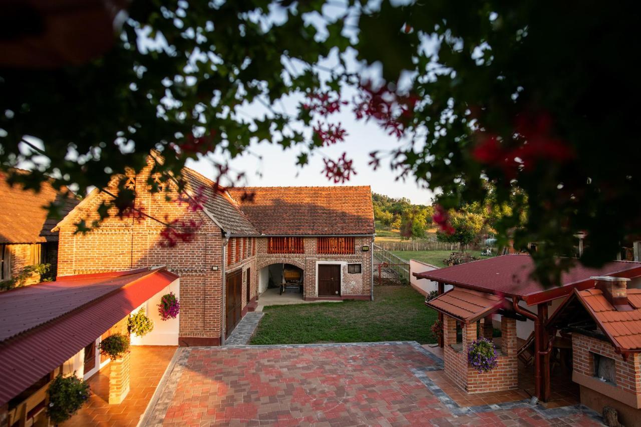 Salas 318 - B&B Farm Experience Brodski Drenovac Exterior photo