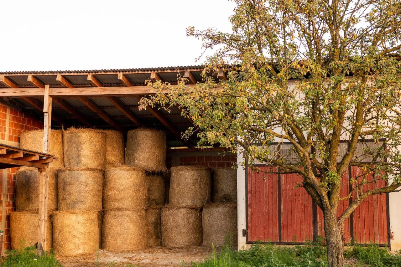 Salas 318 - B&B Farm Experience Brodski Drenovac Exterior photo
